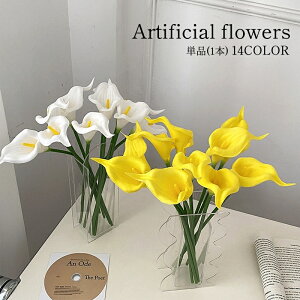   tFCNt[ Pi 1{ J[ t[AWg A[eBtBVt[ A[gtA[ ԏ  CeAG tHg ʐ^Be ̓ v[g M