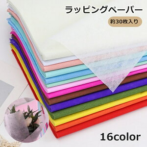  bsOy[p[ 30  ԑp Ɩp bsOV[g Ԃ MtgbsO ԉpi v[g Mtg 蕨