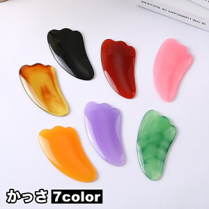   c{_ 􂦂 ܂ c{    C ՗  ZtPA e