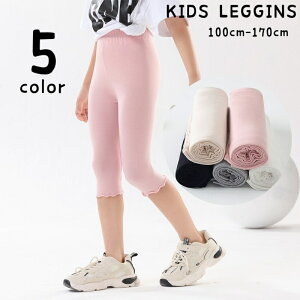  MX 7 Xpbc q LbY ̎q bOEFA t@bV t Mp {gX n EGXgS Lk K[[ 킢  Vv PF t