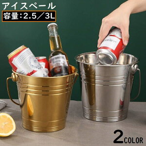  ACXy[ ACXoPbg XeX t e Vp{g CN[[ ۗ ۑe p[eB[ AEghA Lv 