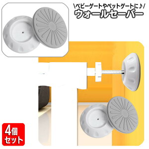  EH[Z[o[ 4Zbg xr[Q[g ybgQ[g ς ˂_  ~ Œ K[htFX  ی   h~ Ԃ qǂ  L Jh~  ֗