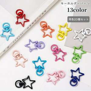  L[z_[p[c L[O F20Zbg Ntgp[c nhCh DIY iXJ X^[ Jt 킢