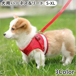  n[lX [h 2_Zbg ^ ^ Ck L lR ybgObY ybgpi UObY wJ w ˔t ʃt@Xi[ ^b`obN bV DJ 