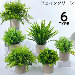  tFCNO[ lHϗtA   A ͂Ȃ CeA  A z[K[f  x_ gC 