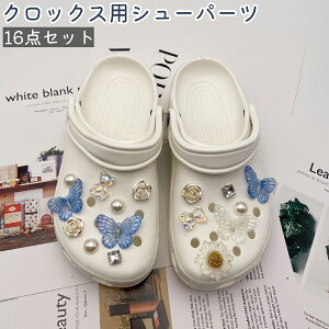  V[p[c 16_Zbg fB[X  CANZT[ V[YANZT[ NbNXp X F ԕ 킢     fR[V