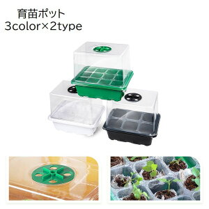  c|bg c K[fjOpi 6 12 Wt ʋC r cg[ c 琬 ͔| n Vv