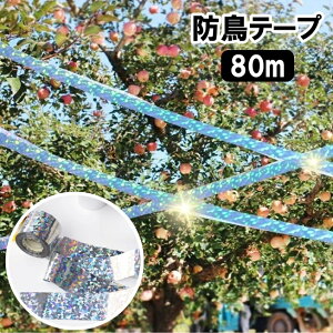  he[v 悯e[v Q΍ zO ˃e[v LL  JX悯 悯   K[fjO ƒ؉ _ hObY