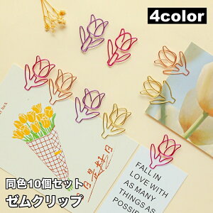  [Nbv 10Zbg y[p[Nbv  [  t[  킢 pi Xe[Vi[