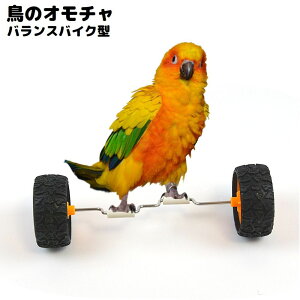  o[hgC  ̗Vя ߋ oXoCN IE ZLZCCR ^C ԗ ~܂ XgX ^s