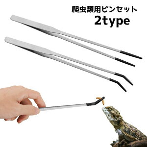  sZbg a ybgp ঒  GT  O  t t eiX gJQ wr Vv