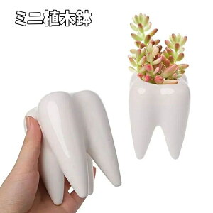 送料無料 植木鉢 フラワーポット 多肉植物 陶器 歯 プランター 盆栽 観葉植物 寄せ植え 鉢植え ミニ コンパクト サボテン 園芸用品 ガーデニング 卓上 屋内 屋外 かわいい おしゃれ ペン立て