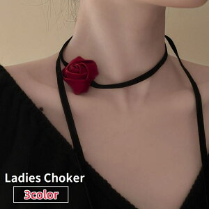  `[J[  fB[X p ANZT[ KN o   SVbN SX RXv v[g 蕨 Mtg