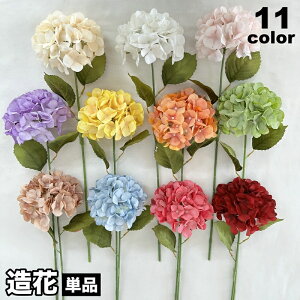   tFCNt[ A[gt[ z AWTC   Pi 1{ CeAG t[AWg lH ͂Ȃ i`   i Y  