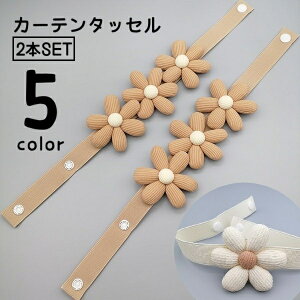  J[e^bZ J[e 2{Zbg J[epi ߕR ^bZ t[ Xibv{^ ҂݃fUC CeA [ J[ez_[ [|  킢 i