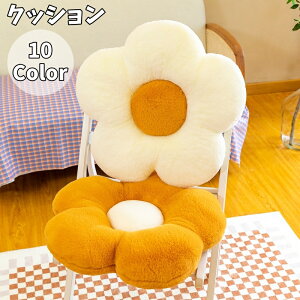  NbV tANbV V[gNbV `FApbh zc  t[ 35cm  CeA 킢 ӂӂ L[g ͗lւ rO qǂ