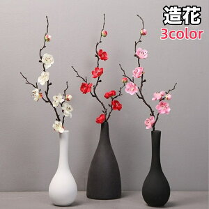   ~ E  ~̉ 1{ A C~e[V tFCNt[ lH ͂Ȃ rO    CeA IV Y