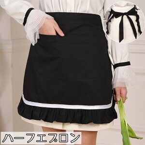  n[tGv V[gGv |Pbg fB[X t [X ~j  [^ Ch 킢  RXv { ƒp HX  Lb`pi pi