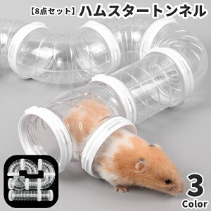  nX^[gl nX^[pCv 8_Zbg ybgp p AX`bN WCg `[u A gݗ XgXU V ^s  N