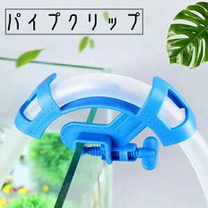  pCvNbv p z[X pCv Œ z[XL[v ߉\ |   ANAEpi pi