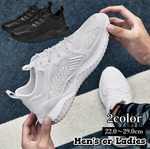  Xj[J[ V[Y Y fB[X RC ^C  傫TCY jO EH[LO j  [Jbg }\ X|[c ₷ ɂ JWA Jb