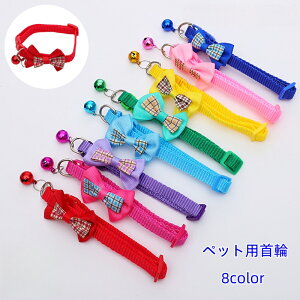   ybgpi p Lp ^ { `FbN t `[J[ lN^C J[  킢 o ^b`obN  Ck ˂ lR hbO Lbg