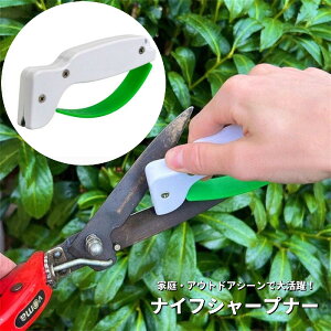  iCtV[vi[ iCt ^ gїp |[^u  n u 蓮 RpNg ֗ AEghA Lv oR