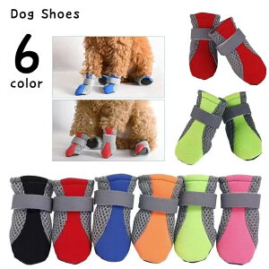  pC hbOV[Y ybgV[Y u[c C  L ~ bV xg ʋC U h΍ h~ Sy ^ ^ ybgpi ybgObY o 