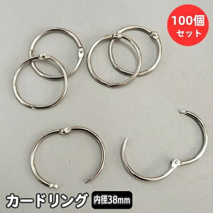  J[hO 100 a38mm  Ԃ P꒠  [Y[tO ^ O [ pi vbV  Ԃ Vo[J[ L[O XNbv