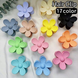  wANbv oXNbv wAANZT[ fB[X  t[  Vv wAAW     t@bV