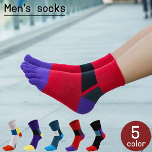  5{w\bNX Y V[g\bNX ܖ{wC j am C zF AN Ԃ X|[c\bNX ^ X|[eB[ rrbgJ[ 