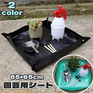  |pV[g K[fjO}bg veBOV[g |ObY K[fjOObY gC Xibv{^t ܂߂ Aւp h h~ ȒP| ^ R