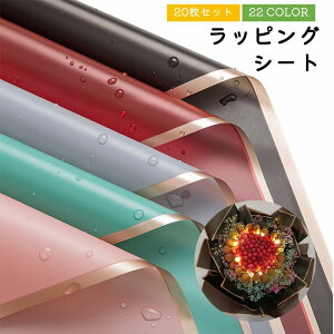   bsOV[g ԑ Mtg bsO u[P h 20Zbg 56cm×56cm  bsO v[g   Vv oCJ[ JoLx