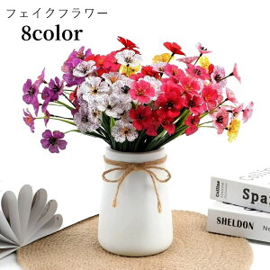  tFCNt[  CeAG CeA  X  CG[ bh sN zCg ؂₩ 킢 L[g Vv JWA 