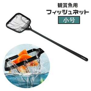  tBbVlbg Ϗ܋plbg  ybgpi ANAE  | S~ ւ lp`   eiX  Mы 