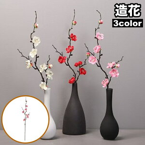   1{ Pi tFCNt[  ~ t[AWg  킢 CeA j p[eB[  ؂₩