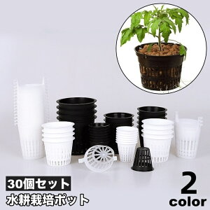  k͔||bg c|bg 30Zbg Aؔ c K[fjOpi bV A  ϗtA  A琬Jbv ͔| | ʋC ubN zCg  