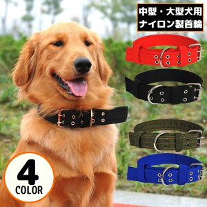 送料無料 首輪 カラー 大型犬 中型犬 いぬ ドッグ ペット用品 お散歩グッズ ナイロン 厚手 幅広 軽量 サイズ調整可能 無地 シンプル