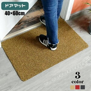 送料無料 屋外用ドアマット 玄関マット 40×60cm 長方形 家庭用 業務用 泥落とし 砂落とし 滑り止め 洗える カット 北欧風 スタンダード お手入れ簡単 日用品 生活雑貨 シンプル エントランス