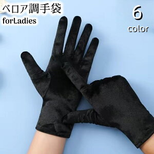   O[u fB[X xA h h g  ۉ ʋC H~ ] ʋ ʊw n Vv 