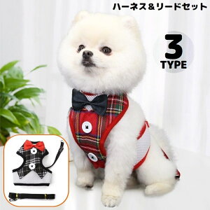  n[lX [h Zbg ybgpi ^ L lN^C { bV ʋC  xXg  [v UR