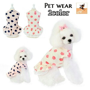  hbOEFA ybgEFA s[X ̕  L̕ LbgEFA m ybgpi ^ m[X[u Ȃ  hbg t [X MU[ U o 