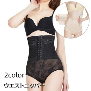  EGXgjbp[ {fBVFCp[ RZbg  fB[X Ci[ EGXgVFCp[ n ␳ TCY 傫TCY Y  ̌^T|[g ʋC V