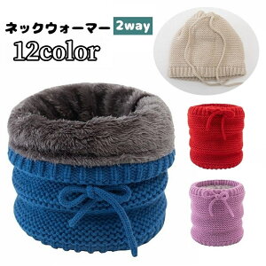  lbNEH[}[ Xq 2way jbg N {A fB[X Y Rt h h ΍  RR jp jZbNX ~ ڂ t@bV  