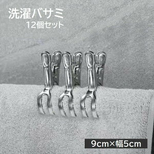  oT~ 󕨂΂ s` 12Zbg Y  Nbv 9×5cm XeX 󕨗 zc ѕz pi G