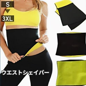  TEixg EGXgVFCp[ EGXpT|[^[  fB[X Y   ͂܂ GNTTCY tBbglX