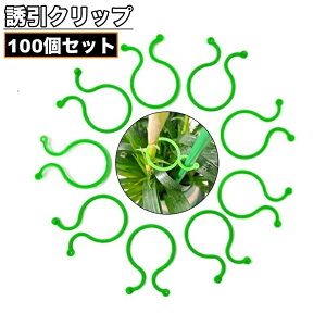  UNbv 50Zbg |Nbv _ | K[fjO ږ  oh Œ    ֗ Nbv