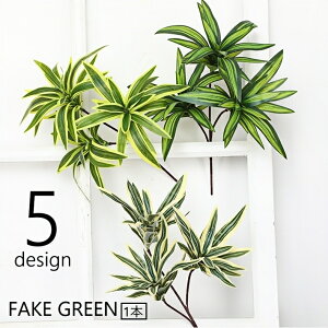  tFCNO[ lHϗtA  1{ Pi  [t t hZi   CeA ͂Ȃ rO  gC ʏ Q K[f   i`