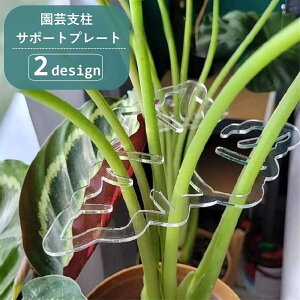  |pxT|[gv[g xz_[ Œ xpi Ap [t^ tό^ NA  K[fjOpi |pi ƒ؉  