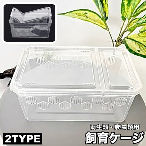  P[W P[X ޗp ঒ޗp NAP[X vP[X  J T JG  eX n ` Vv ʋC ybgpi